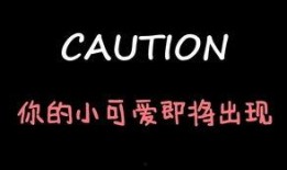 两个娱乐吃瓜博主的小说,两位博主笔下的娱乐江湖